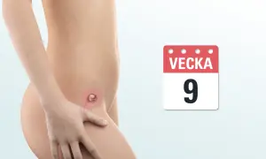 Graviditet vecka 9. Ett embryo visas i livmodern, med en kalender som indikerar nionde veckan.