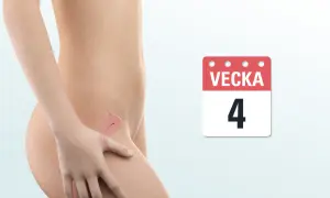 Gravid vecka 4: en illustration av livmodern med en tidig embryo. Kalendern visar "Vecka 4".