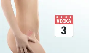 En illustration visar en gravid livmoder, med en kalender som indikerar vecka 3.
