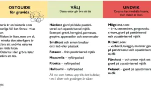 Ostguide för gravida: Välj säkra ostar och undvik de som kan innehålla listeria. Taleggio är en kittost som bör undvikas om du är gravid.