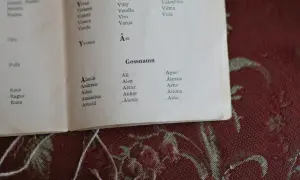 En lista med tjej och killnamn, som Vera, Viviann, Alarik och Aldo, syns på en bok.