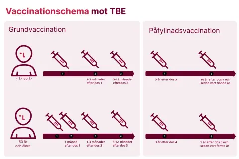 Schema för tbe vaccin gravid. Grundvaccination och påfyllnadsdoser visas för olika åldrar.