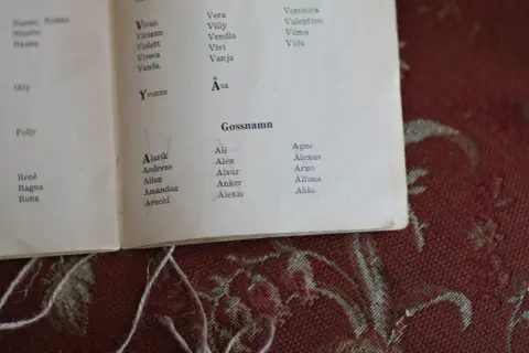En lista med tjej och killnamn, som Vera, Viviann, Alarik och Aldo, syns på en bok.