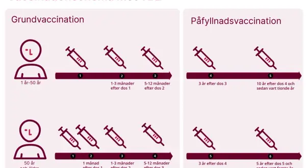 Schema för tbe vaccin gravid. Grundvaccination och påfyllnadsdoser visas för olika åldrar.