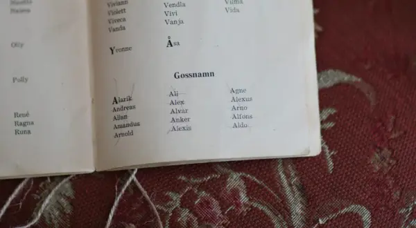 En lista med tjej och killnamn, som Vera, Viviann, Alarik och Aldo, syns på en bok.
