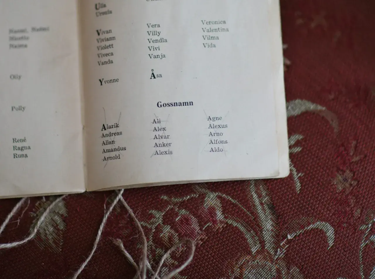En lista med tjej och killnamn, som Vera, Viviann, Alarik och Aldo, syns på en bok.