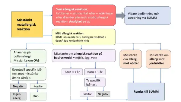 Flödesschema för misstänkt matallergisk reaktion hos barn. Utredning av allergi, inklusive IgE-test, för att fastställa allergi.